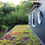 Butz+Klug Architecture loggia green roof