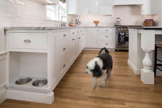 kitchen dog bowl storage