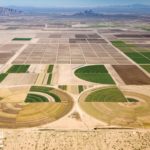 Alex MacLean_Desert Pivot Irrigation