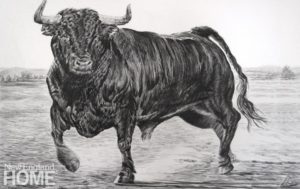 Rick Shaefer Spanish Bull