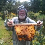 ways to invite nature into your landscape beekeeper