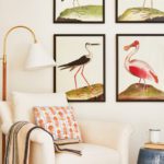 Reading area with four bird prints