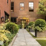 Path with large boxwoods