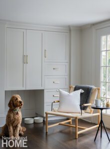 Dog in front of white cabinetry