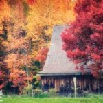October Rain (2021), 32"H x 48"W, archival inkjet photographic print.