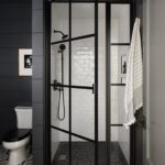Basement bathroom with dark walls and glass door shower