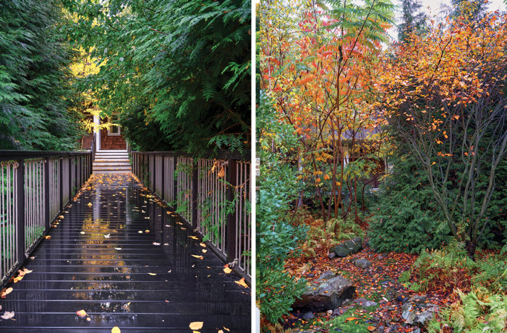 Two photos of a lush outdoor landscape one featuring a wood plank boardwalk and the other with a lush grouping of trees.