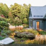 Lush backyard garden with ornamental grasses and modern lounge chairs beside a gray shingle-style home.