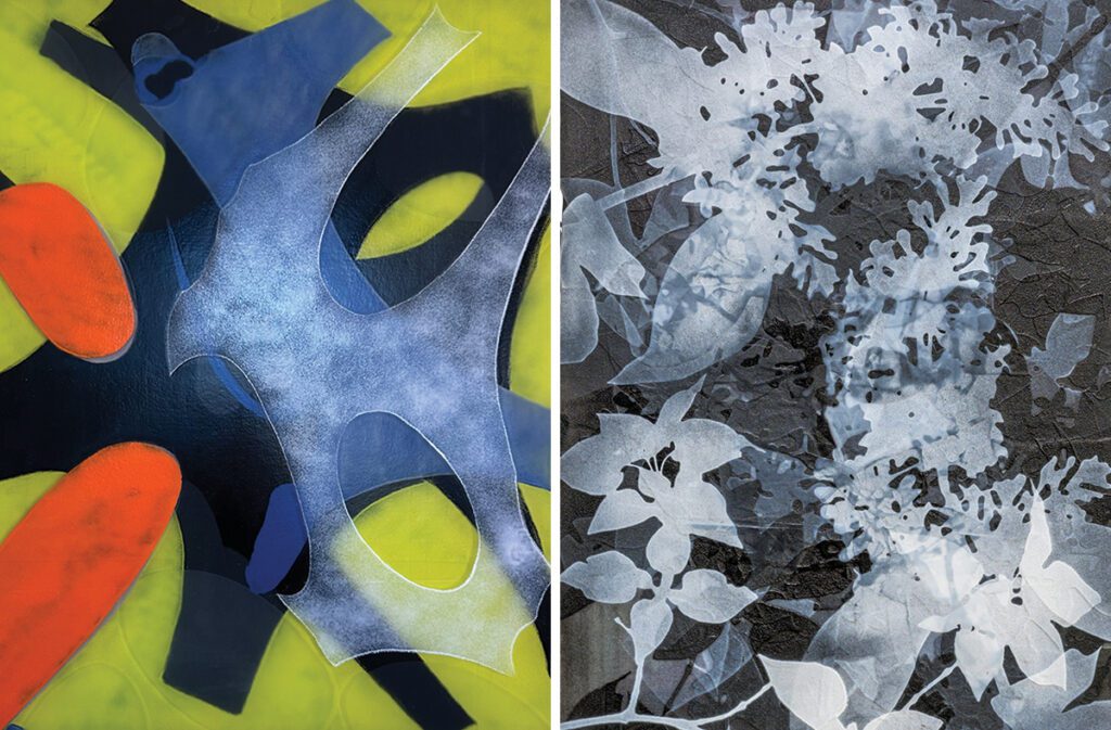 Works by Shani McLane