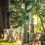 Dry-stacked stone wall with granite posts surrounded by mature trees in a New England woodland landscape
