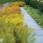 Contemporary garden walkway lined with vibrant yellow, green, and red plantings