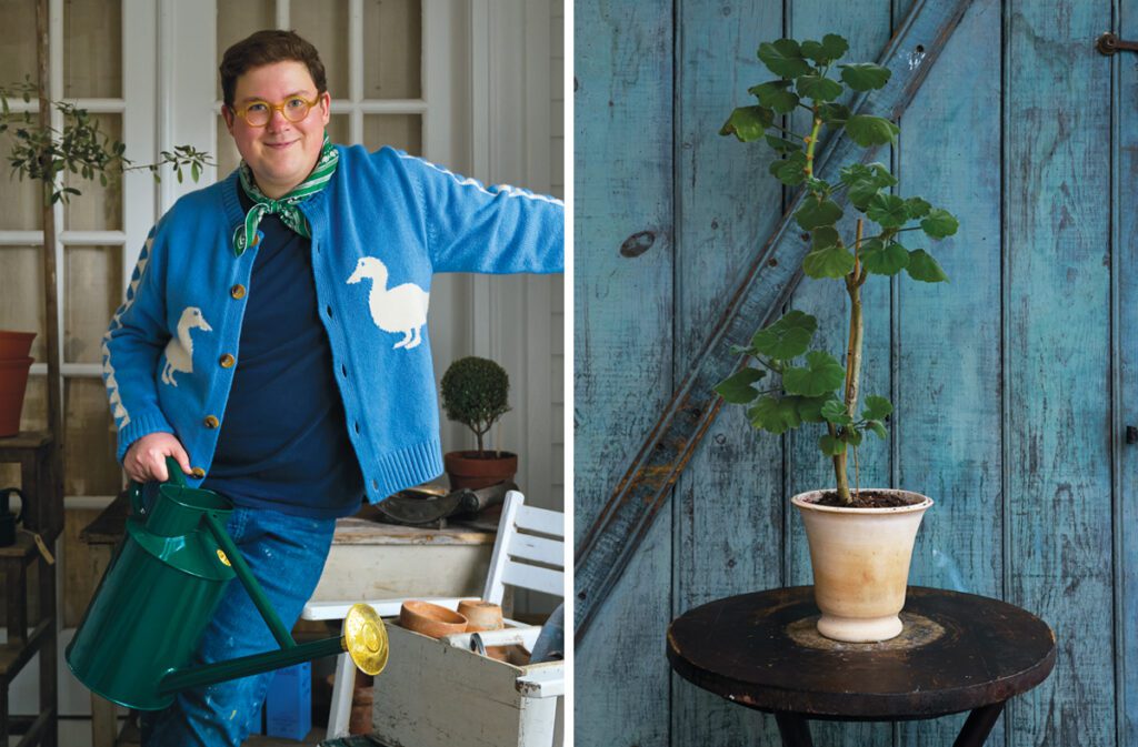 Portrait of Alexander Widener and a cutting of a geranium from Monticello